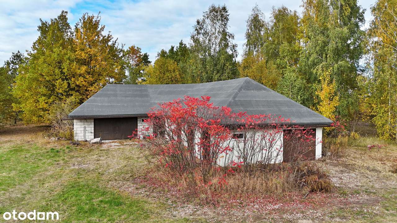 Dom w sercu natury – cisza, przestrzeń i własny staw - Pełny obrazek: 4/20