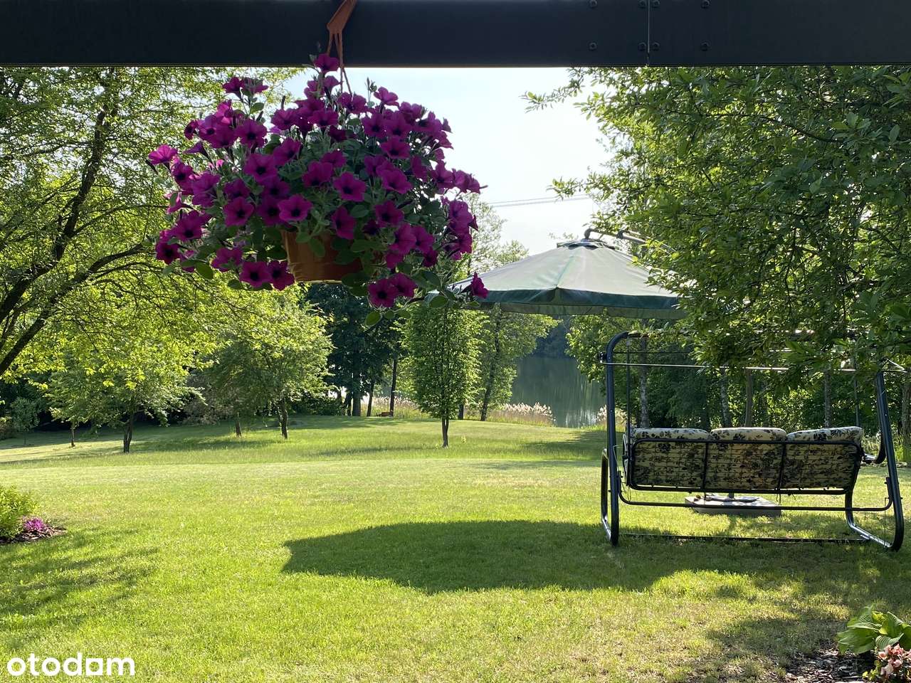 Działka marzeń nad jeziorem - Pełny obrazek: 4/20