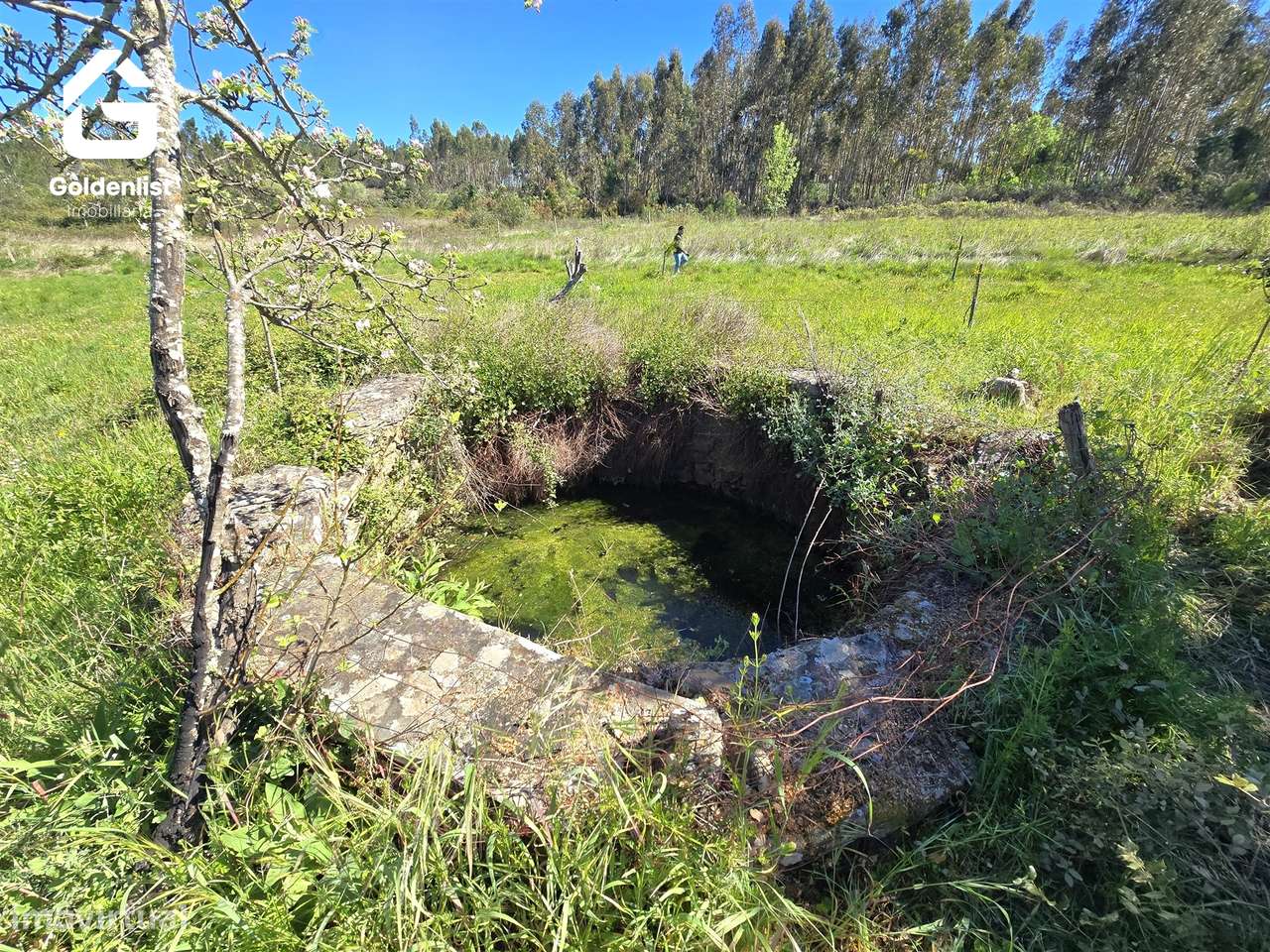 Quintinha  Venda em Fratel,Vila Velha de Ródão-21