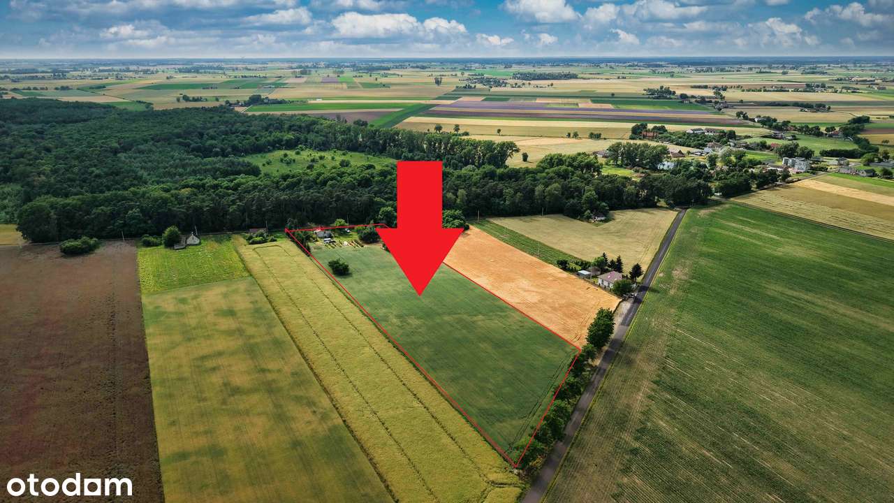 Dom, 68,68 m², Ościsłowo-9