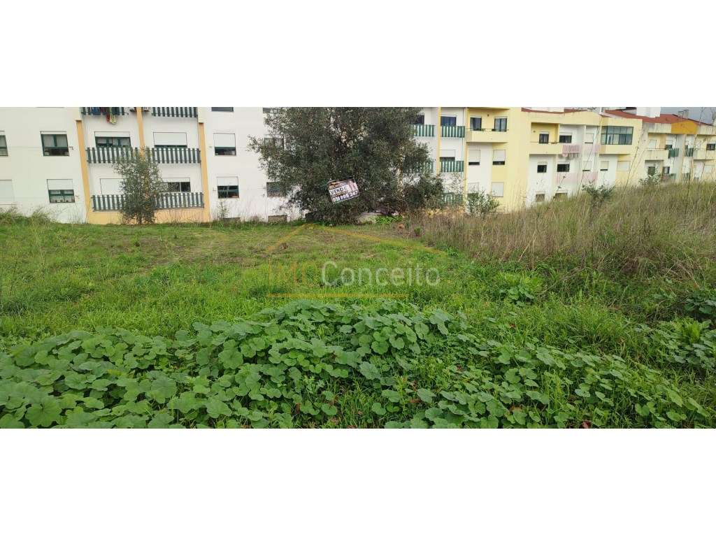 Lote para construção de moradia | Torres Novas - Grande imagem: 2/7