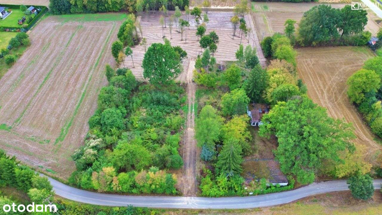 Działka budowlana 2400m2 - Trojaczkowice - Pełny obrazek: 4/4