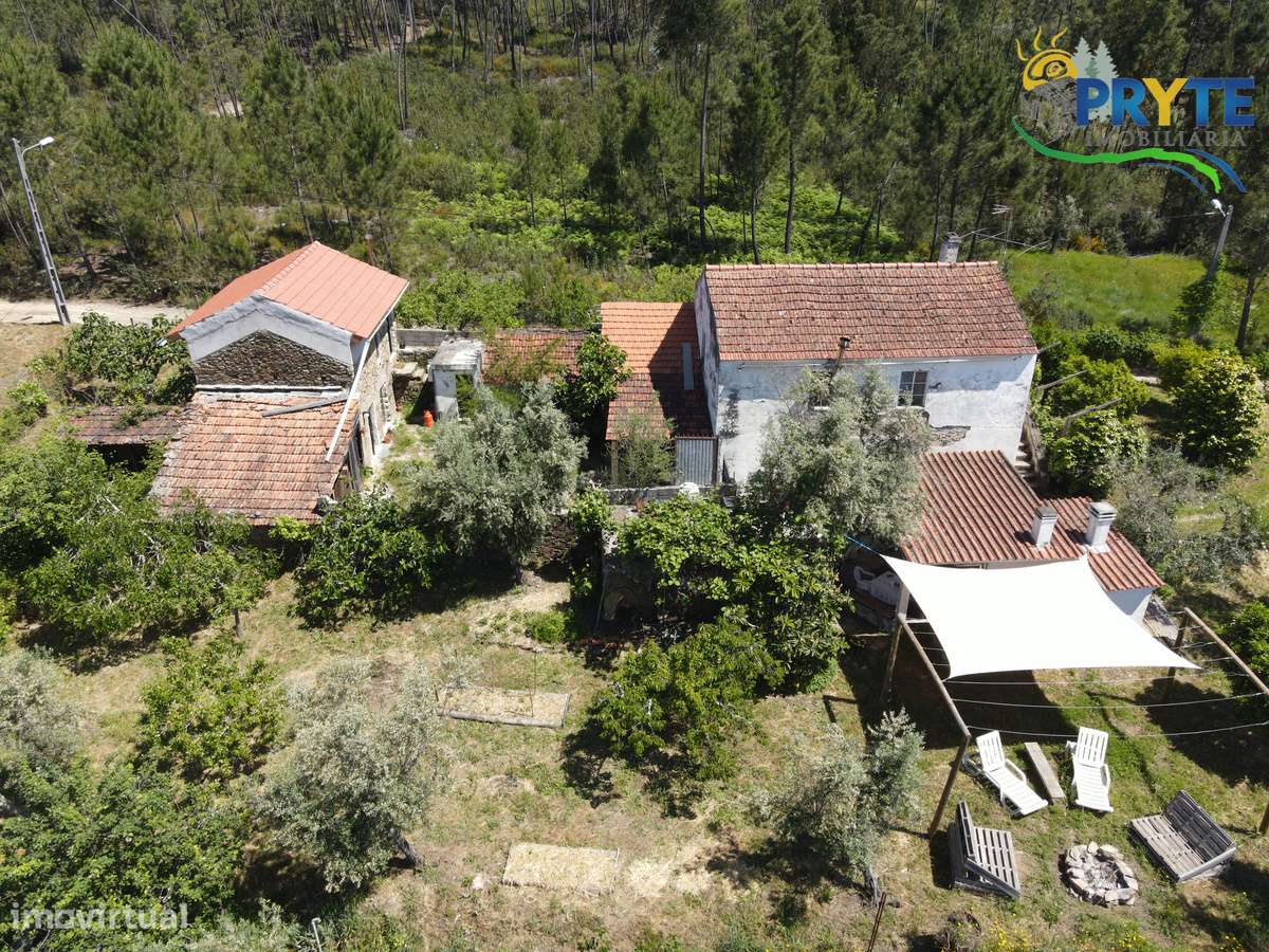 Quinta com 2 hectares de área total-sinónimo de privacidade e sossego-36