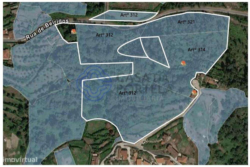 3 ruínas no Douro com sobreiros e frente rio. Invista no refúgio dos s - Grande imagem: 4/12