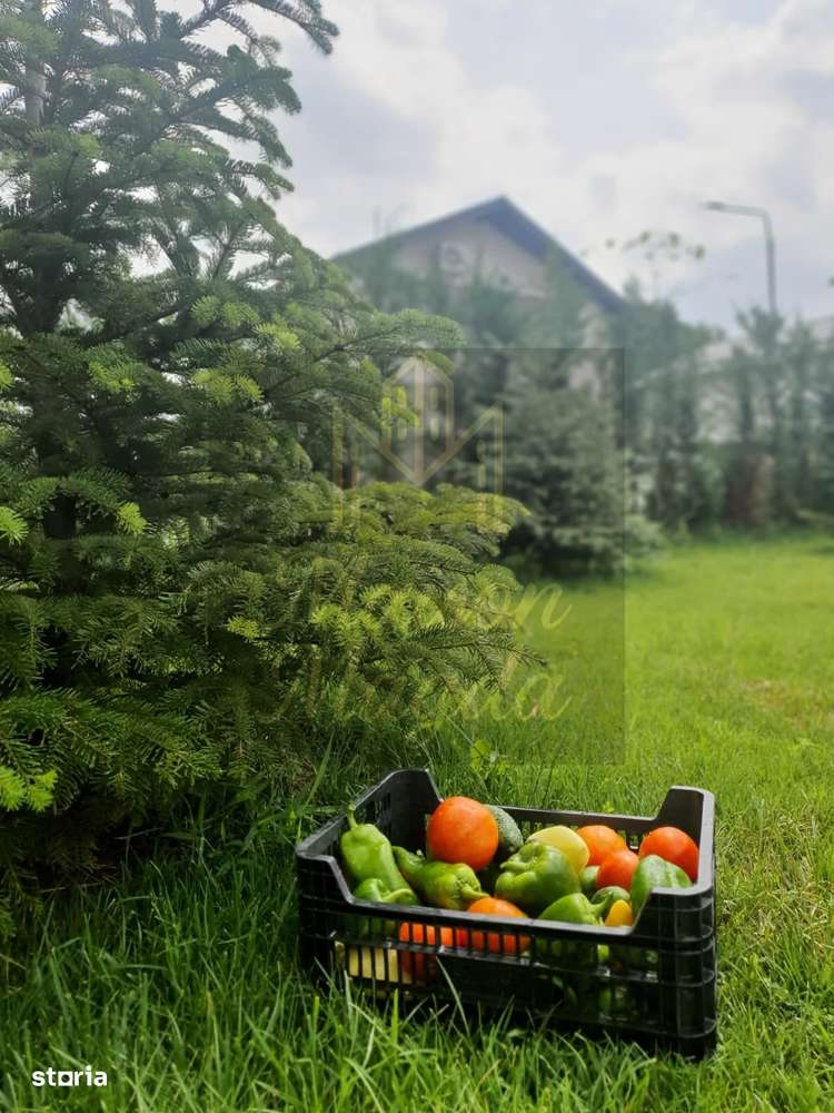 Casă individuală P+1 /Curte 400 mp / CHIAJNA-14