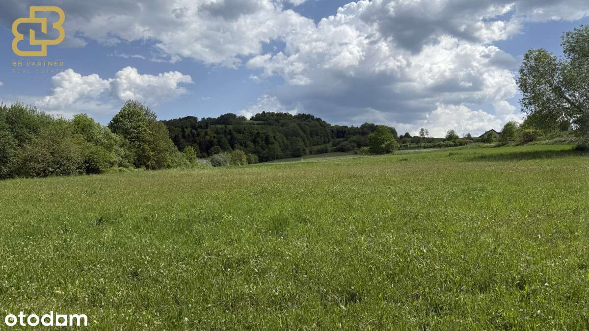 Twoja przestrzeń w naturze – działka 1,78 ha-6