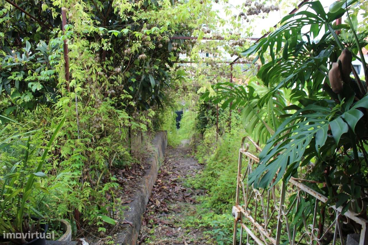 Terreno em Amparo – São Martinho - Excelente Oportunidade - Grande imagem: 4/17
