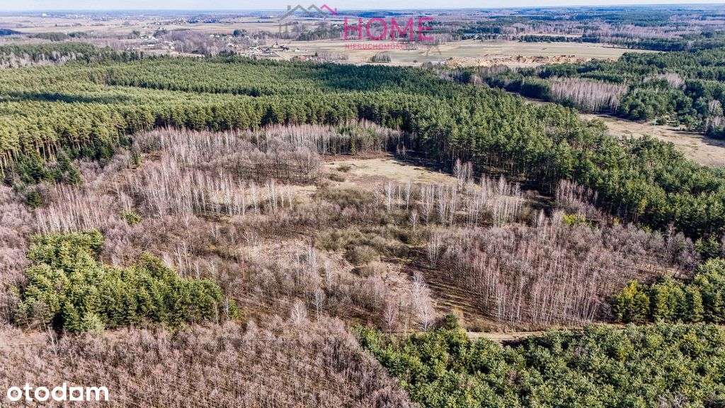 Działka wśród lasu- 8 arów-3