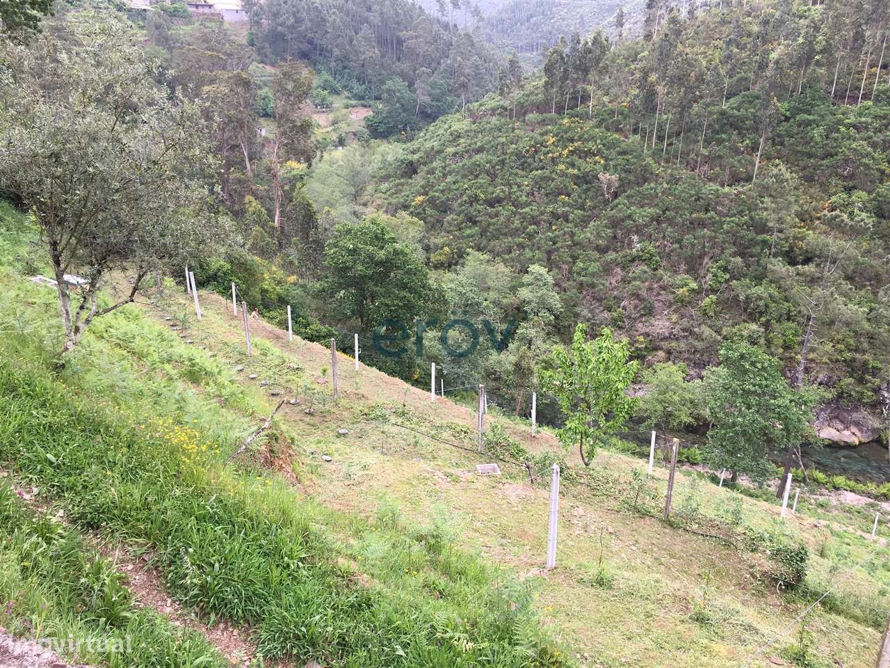 Quinta em Arouca - Moldes - Grande imagem: 2/10