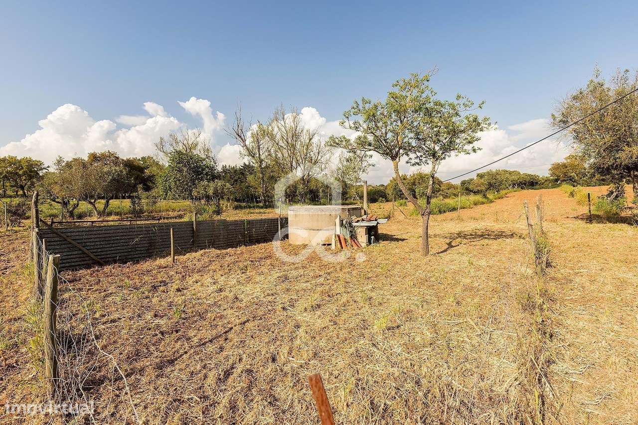 Quinta de 9250m2 c/ Moradia T4 térrea, anexo e armazém | Azaruja-42