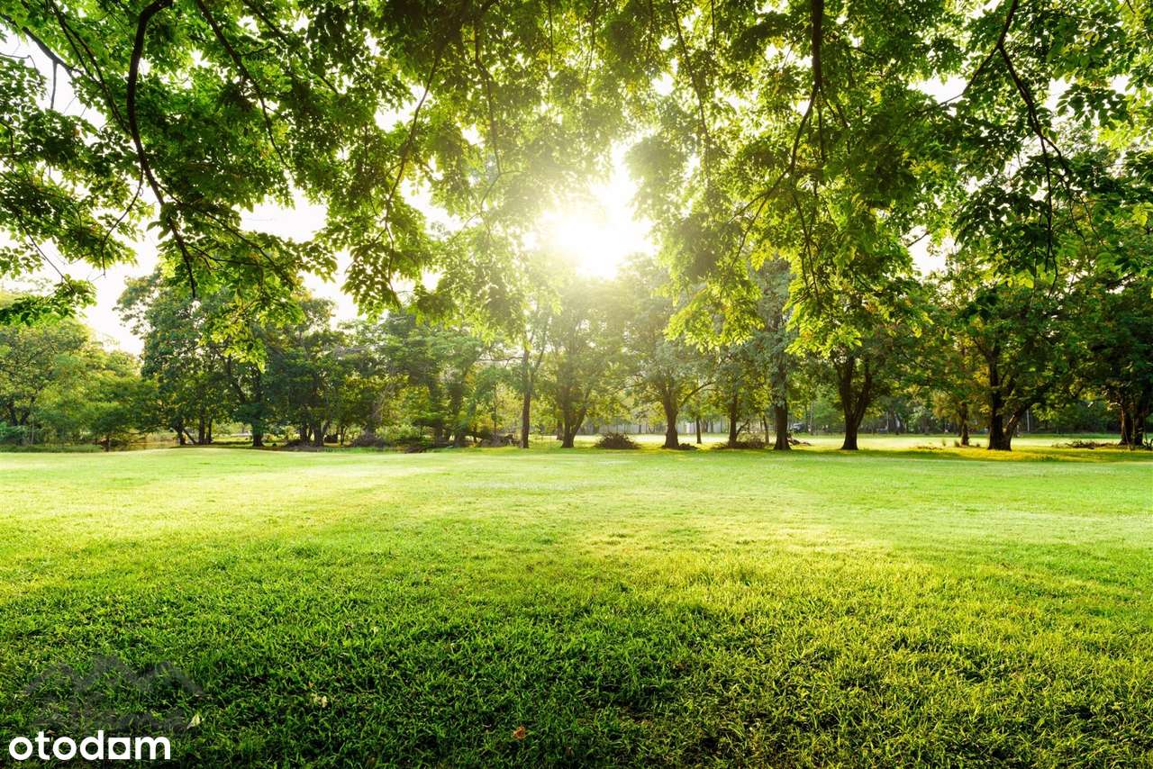 Gotowe|Okazja|Dwupoziomowe|Antresola|Zielono-4