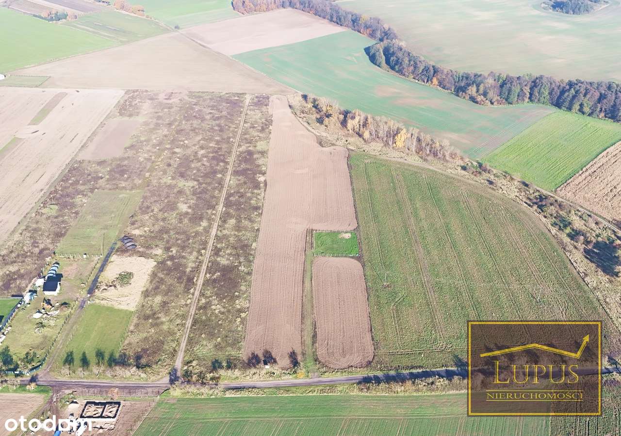 Działki budowlane w Lubowie - Pełny obrazek: 5/15