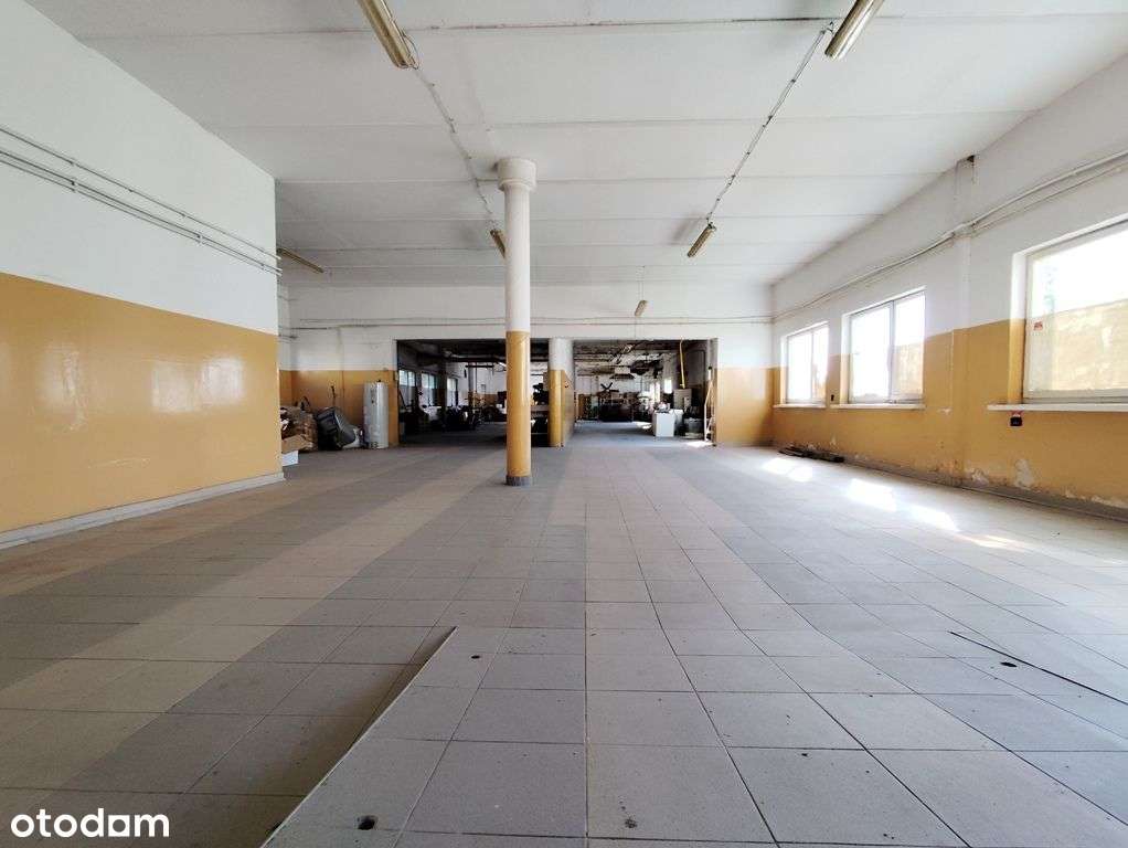 Zakład produkcyjno-magazynowy PU 5000m2 IGLOOPOL Brzesko-1