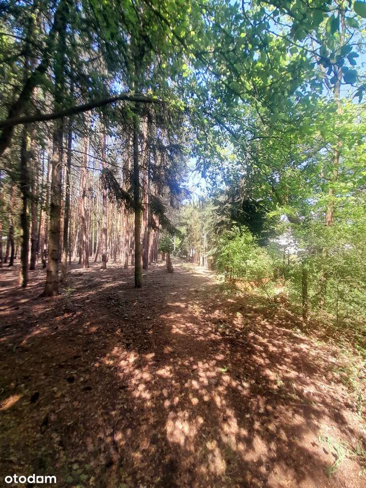 Działka budowlana 2319 mkw Konstancin/Czarnów Las!-3