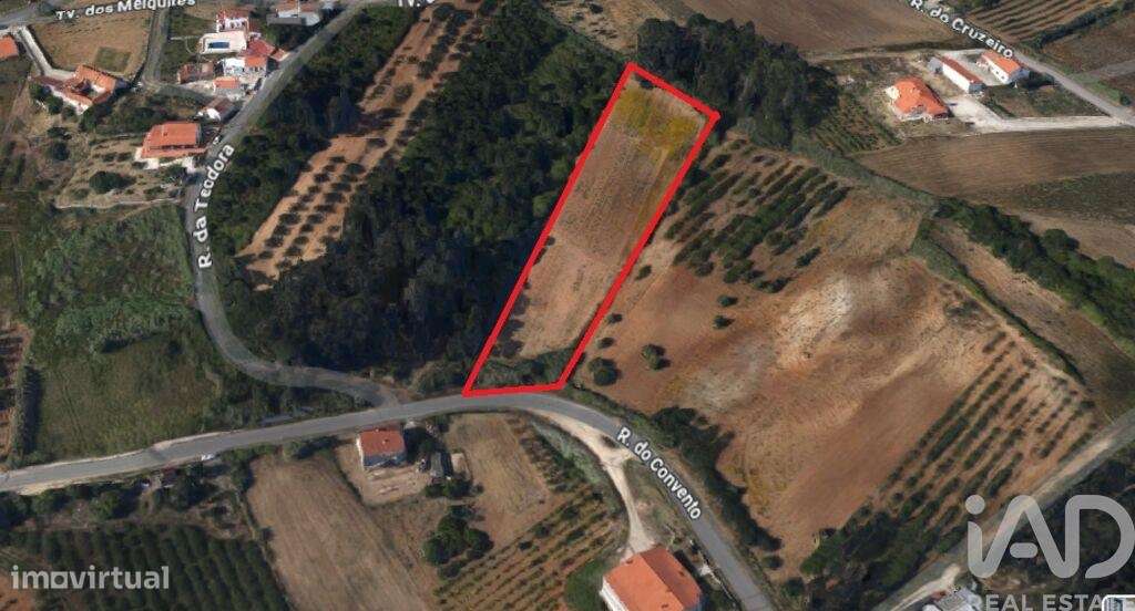 Terreno em Salir de Matos de 4623,00 m2 - Grande imagem: 4/5