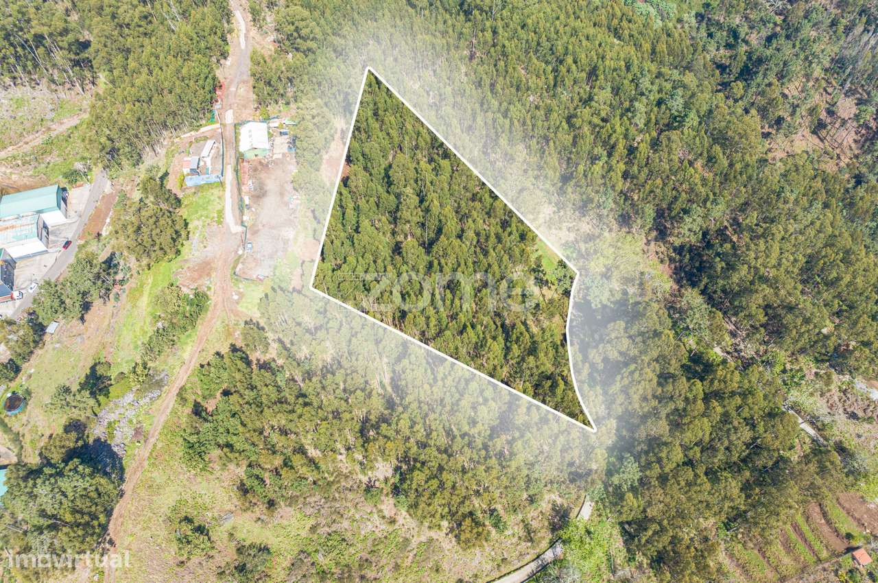 Terreno na Camacha - Grande imagem: 3/8