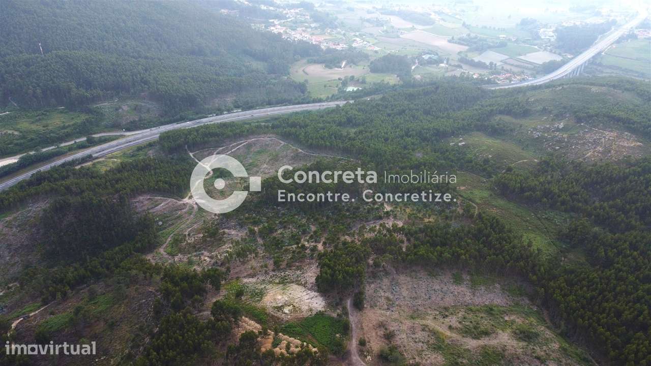 Moinho histórico em Guimarães - Grande imagem: 4/12