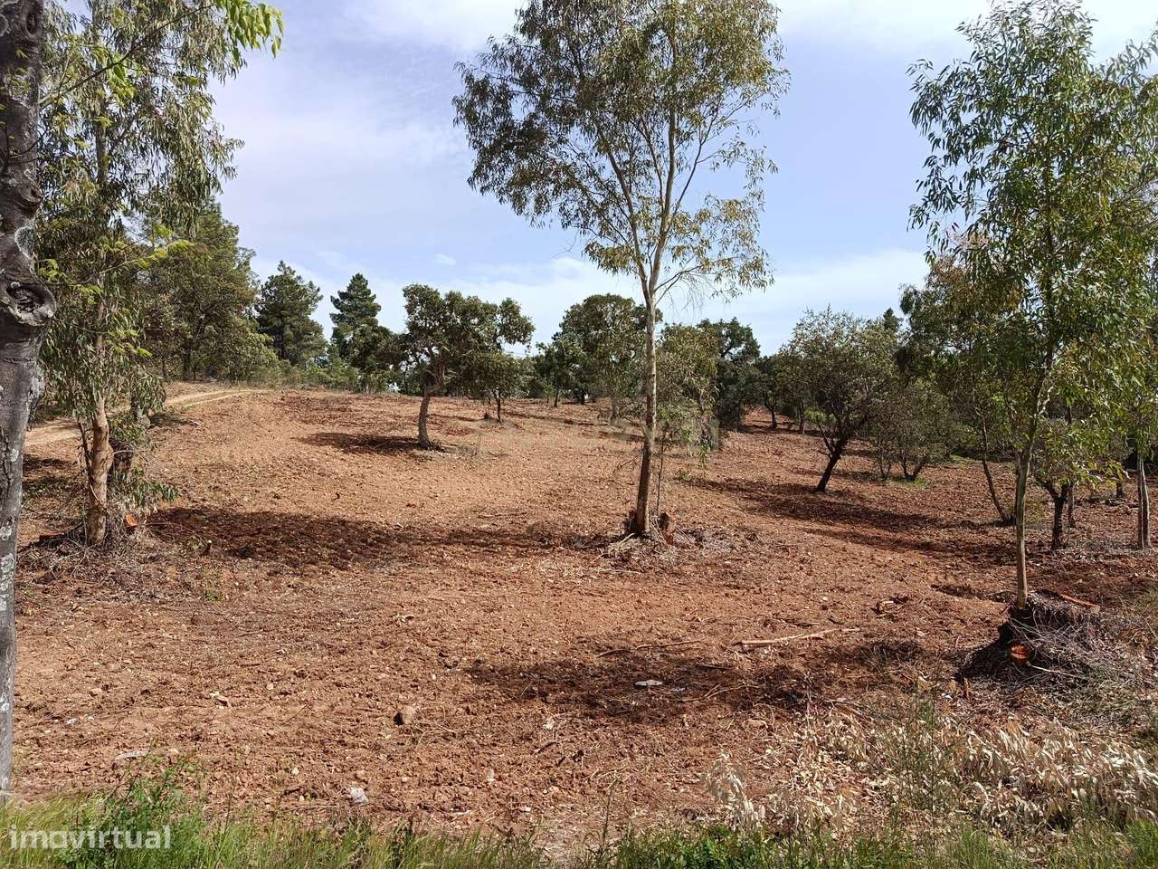 Terreno Rústico com 1.6ha Monfortinho-12