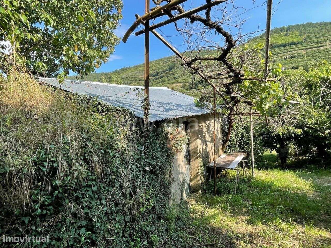 Quintinha / Fundão, Fundão - Grande imagem: 4/5