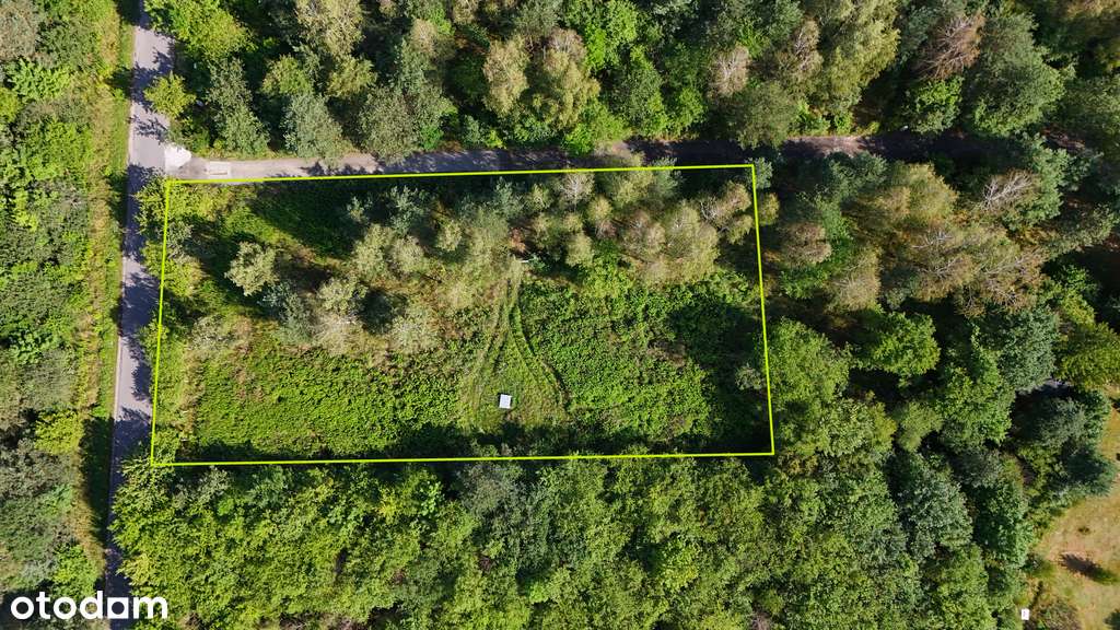 Działka na sprzedaż w miejscowości Golesze-Parcela - Pełny obrazek: 4/4