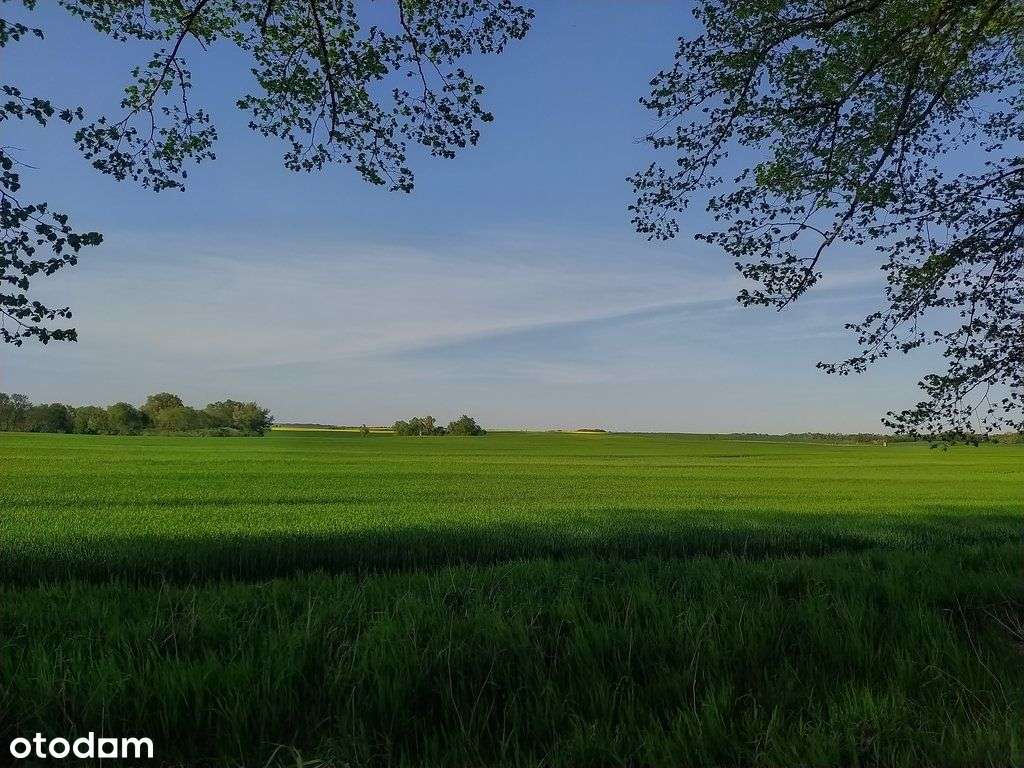 Działka nad Miedwiem - Pełny obrazek: 2/3