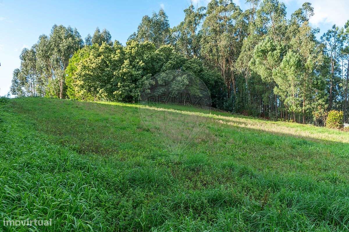 Terreno  para venda - Grande imagem: 4/11