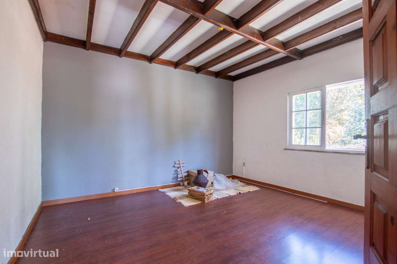 Fantástica Quinta com 3.450 m² a 3 km de Carregal do Sal-5