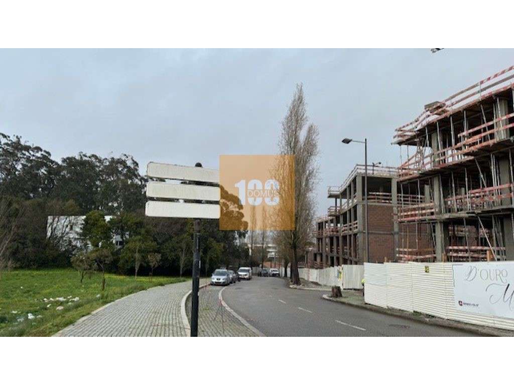 T1+1 novo em Canidelo, Gaia-15