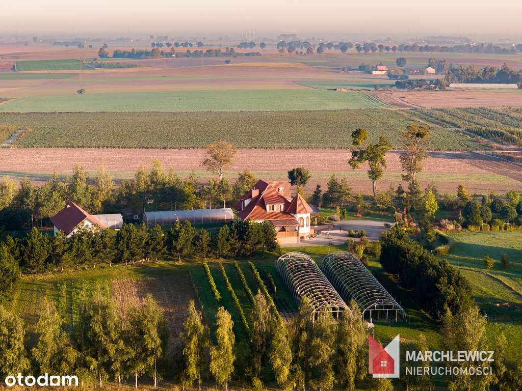 Dom na sprzedaż | winnica | stawy | gaj figowy-1