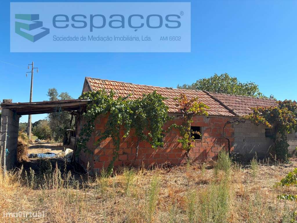 Quinta com vistas para gardunha - Grande imagem: 4/20