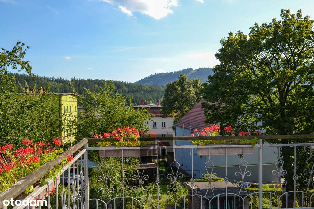 ★Dom do zamieszkania i inwestycji★8 pokoi★340m2★ - Pełny obrazek: 4/16