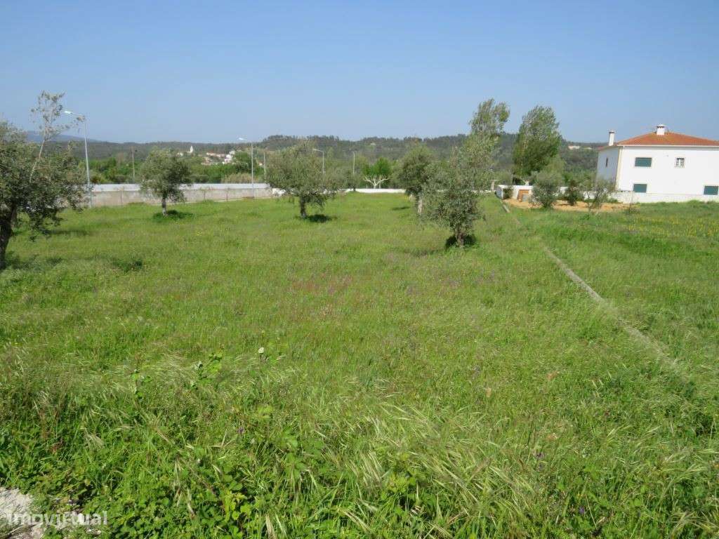 Lote construção de Moradia em Freixianda - Grande imagem: 3/4