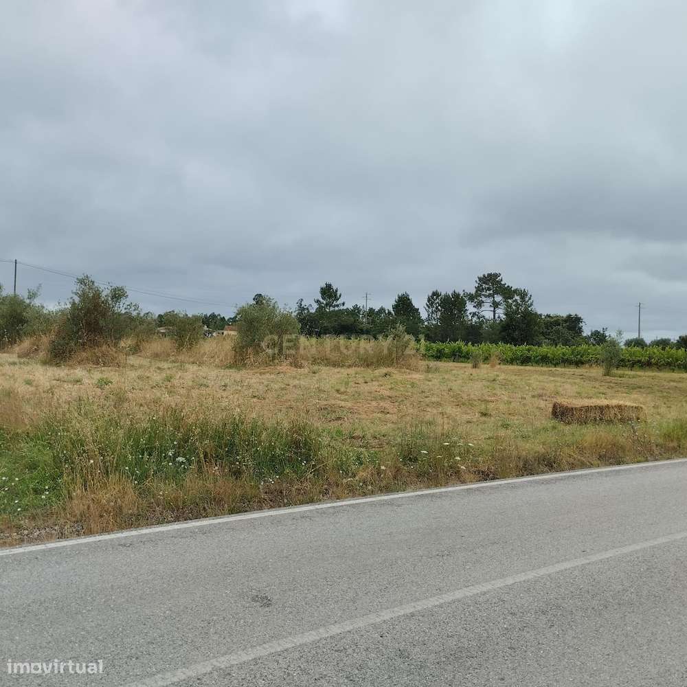 Terreno em Netos, Almagreira, Pombal, - Grande imagem: 2/19