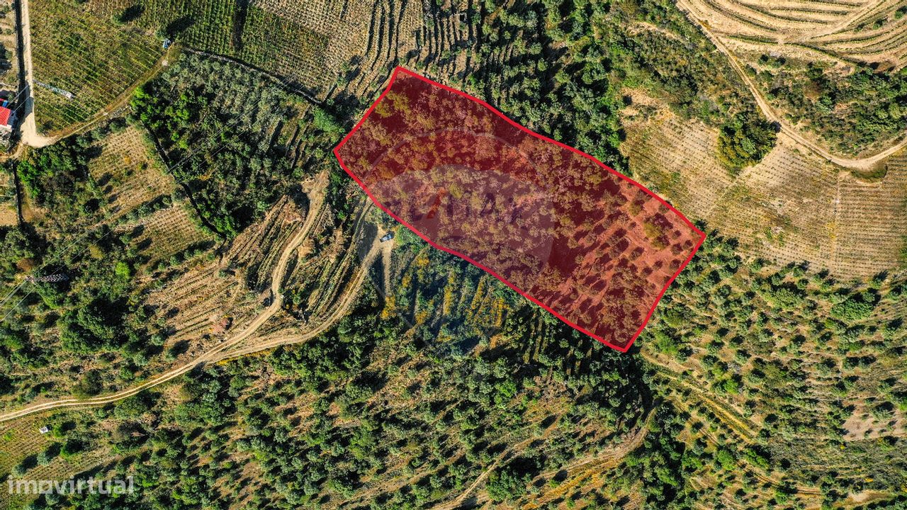 Terreno  para venda - Grande imagem: 1/10