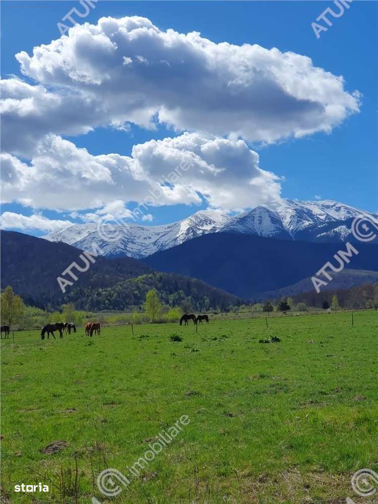 Teren intravilan de vanzare in Avrig zona Valea Avrigului - Imagine principală: 2/6