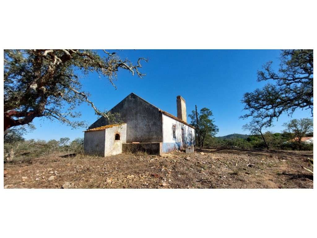 QUINTA, vista mar (5.575ha)-7