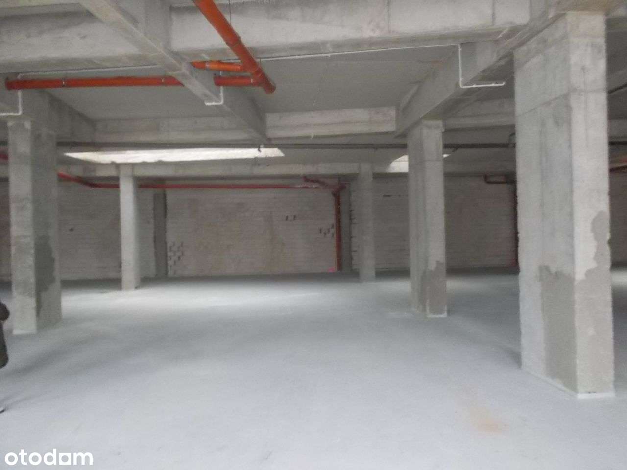 Lokal usługowo-handlowy z witrynami-6