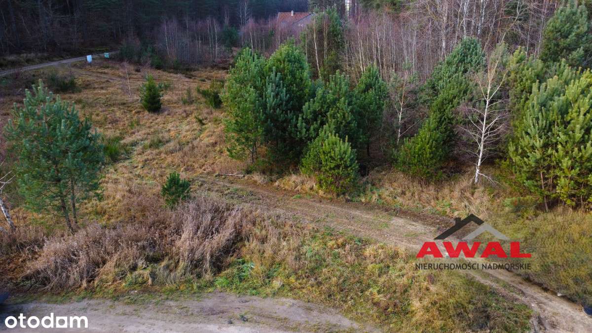 Działka bardzo blisko lasu - cisza i spokój-10