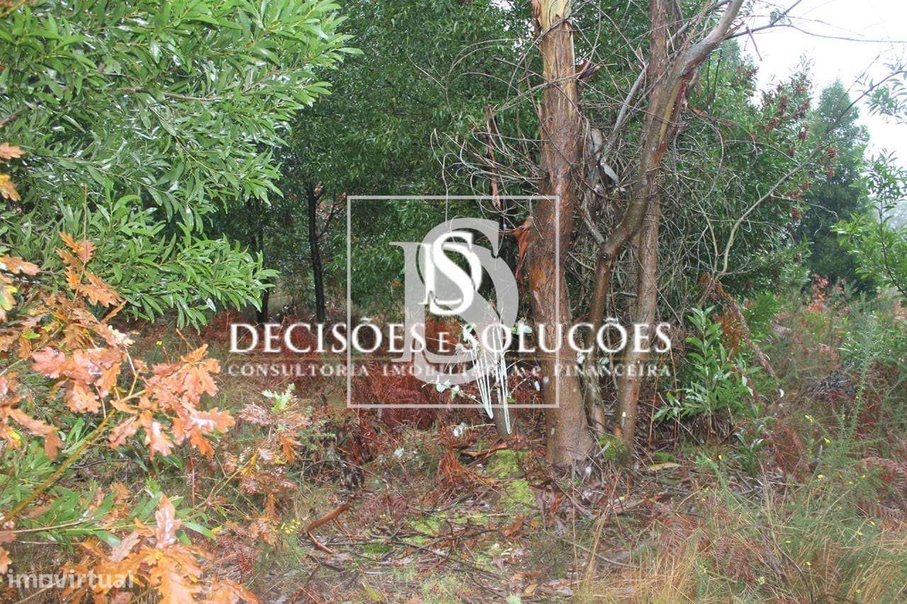 Terreno em Carvalhosa - Grande imagem: 5/8