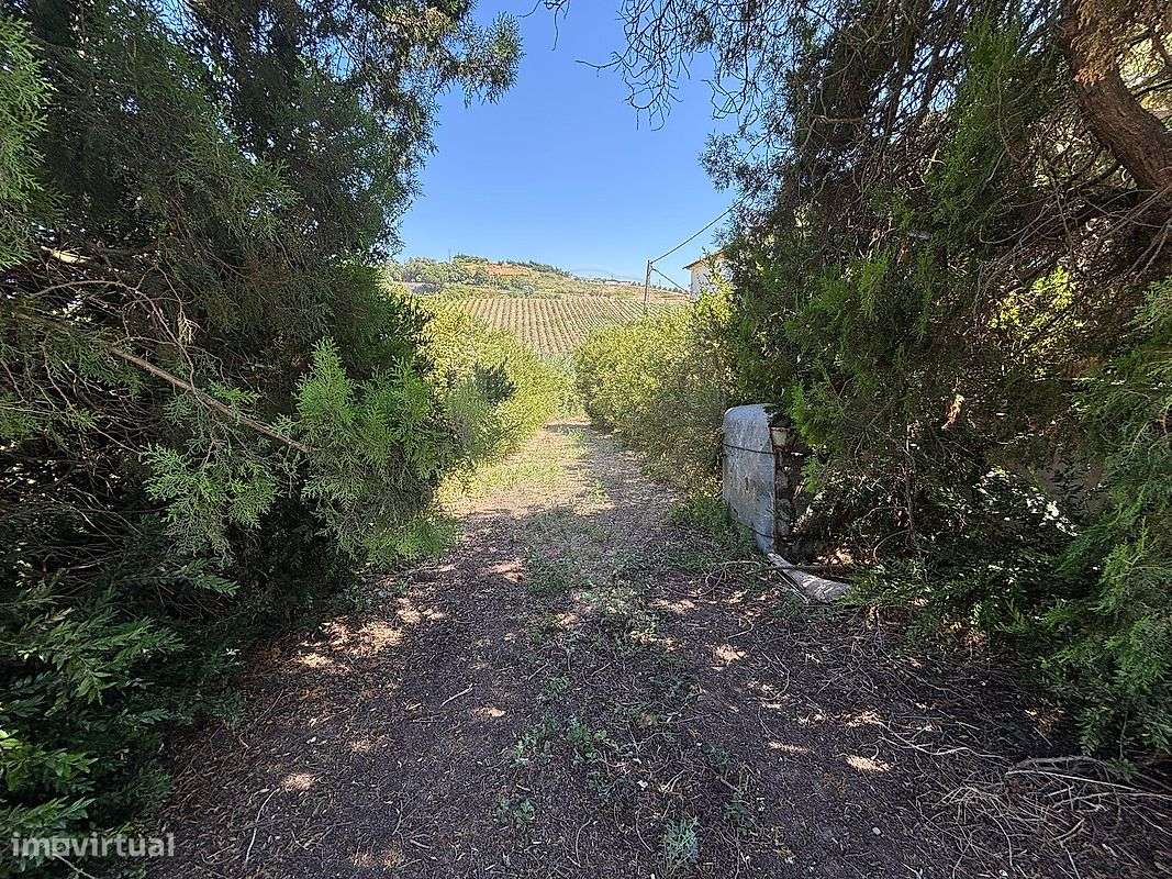 Armazém  para venda - Grande imagem: 4/10