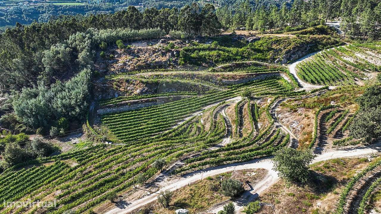 Quinta  para venda - Grande imagem: 3/3