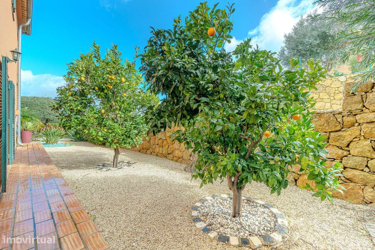 Moradia Geminada de canto  ·  com jardim a Sul e estacionamento para d - Grande imagem: 5/55