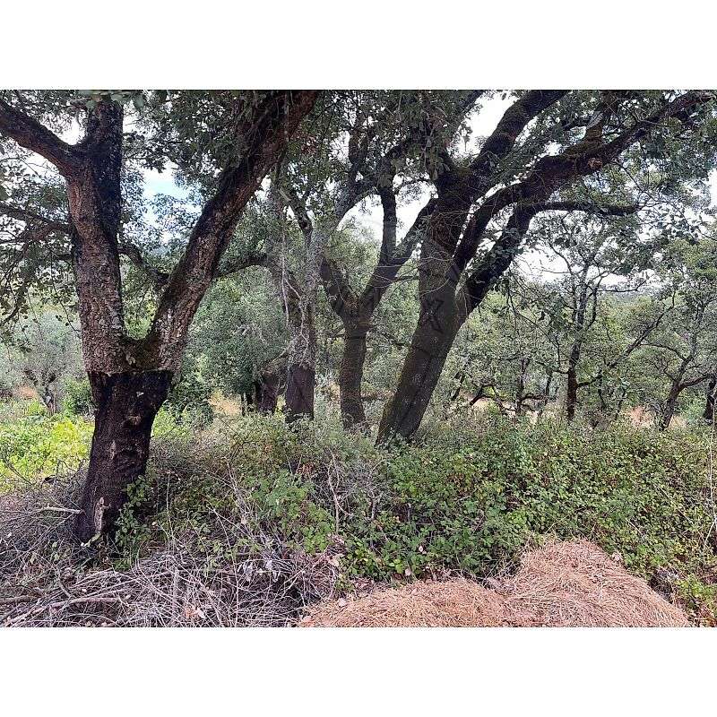 Terreno  para venda - Grande imagem: 5/17