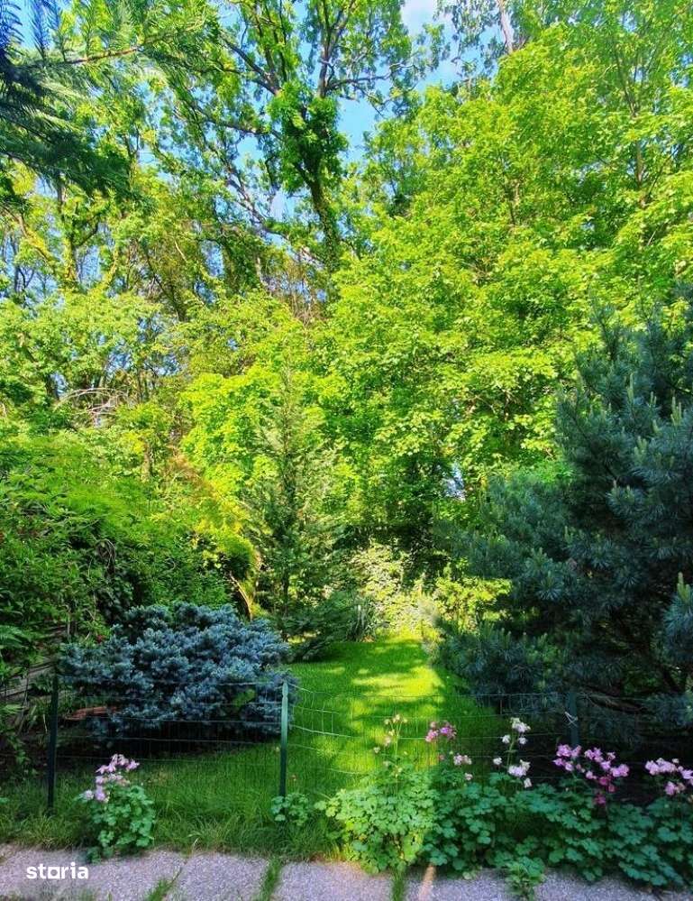 Vila Individuala P+1+Pod 5 camere, 2 bai, Metrou Paris Padurea Baneasa-5