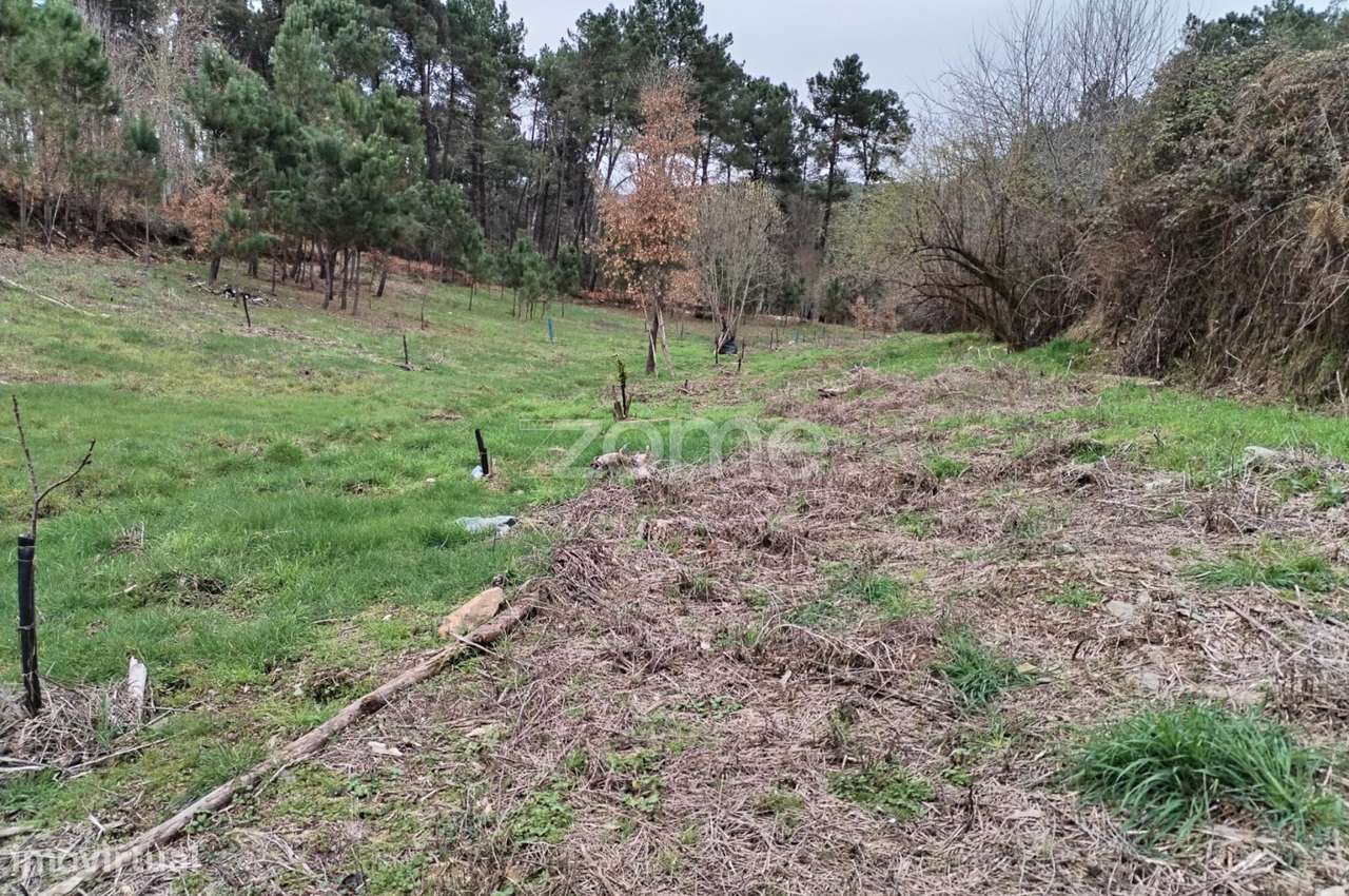 Terreno agricola e florestal.-10