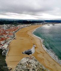 Apart. T2 ( possibilidade converter emT3 ) Zona Histórica da Nazaré