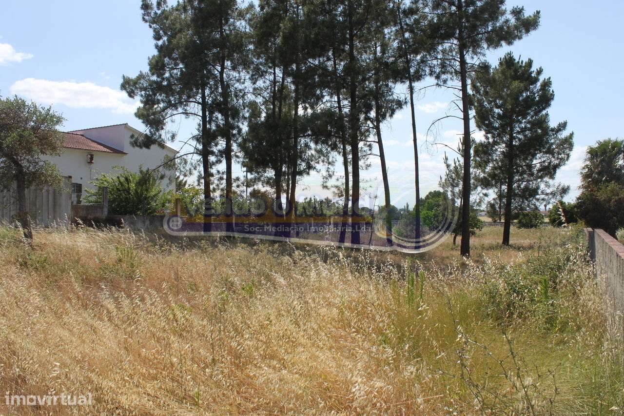 Terreno em Marinhais (M417) - Grande imagem: 4/15