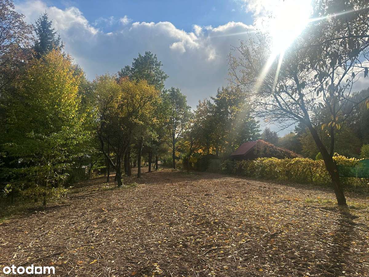 Radachówka gm. Kołbiel, budowlana nad Świdrem 30 min z W-wy trasą S17 - Pełny obrazek: 5/20