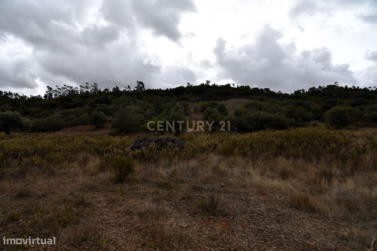 Terreno rústico com 4080 m2 em Vale Fuzeiros - Grande imagem: 4/18