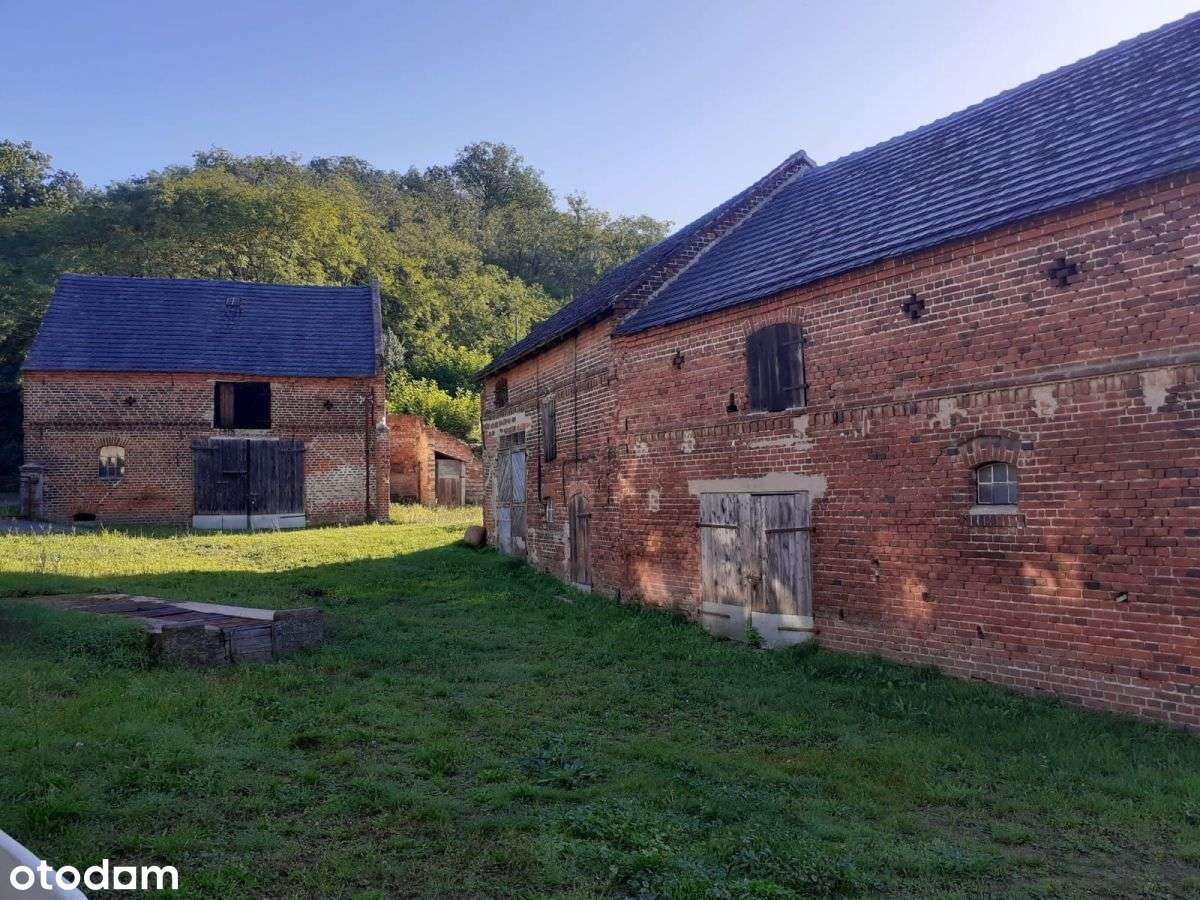 Gospodarstwo Rolne - Okolice Krosna OdrzaŃskiego - Pełny obrazek: 5/17
